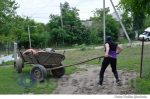 rural caruta