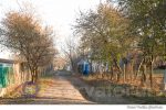 sat toamna (3)