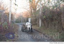 Meteo, 25 noiembrie 2025: zi senină, dar răcoroasă