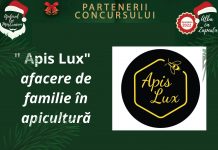 „Apis Lux” SRL, printre sponsorii concursului foto „Fii Alba ca Zăpada și Ajutorul lui Moș Crăciun în 2022”