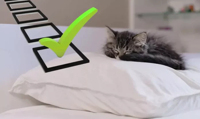 De-ce-pisica-doarme-pe-perna-ta.-Cinci-motive-care-te-vor-face-sa-plangi-1024x683