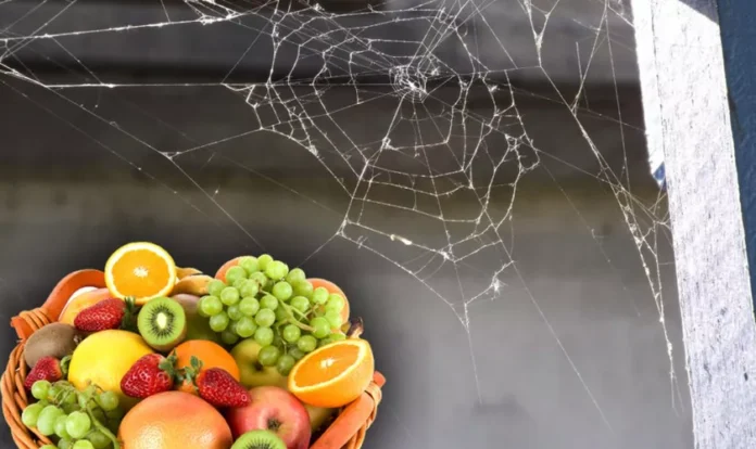 Fructul-care-te-scapa-de-paianjeni-in-sezonul-rece.-Unde-trebuie-asezate-cojile-1024x683