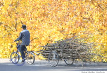 Cum ajută primăriile din raion persoanele vulnerabile pe timp de iarnă?