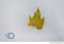 Meteo, 2 ianuarie 2026: temperaturi cu minus dimineața și vreme cu plus, pe parcursul zilei