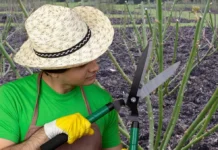 Meteo, 13 martie 2026: zi cu soare, fără precipitații