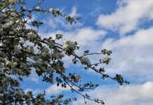 Meteo, 29 aprilie 2026: zi cu soare, dar răcoroasă pentru această perioadă