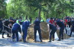 DSE Aplicatii (34)