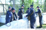 DSE Aplicatii (35)