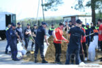 DSE Aplicatii (44)