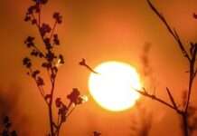 Meteo, 29 iunie 2026: temperaturi-record și fără ploi