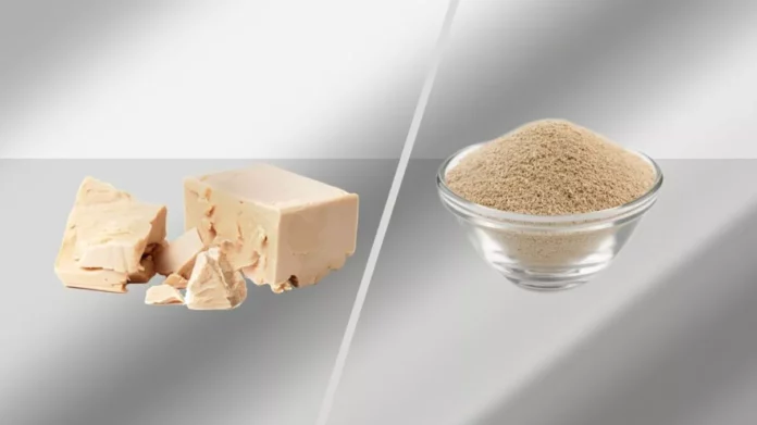 Drojdie-proaspata-sau-drojdie-uscata-Care-este-mai-buna-si-cand-trebuie-folosita-fiecare-de-fapt-1024x683