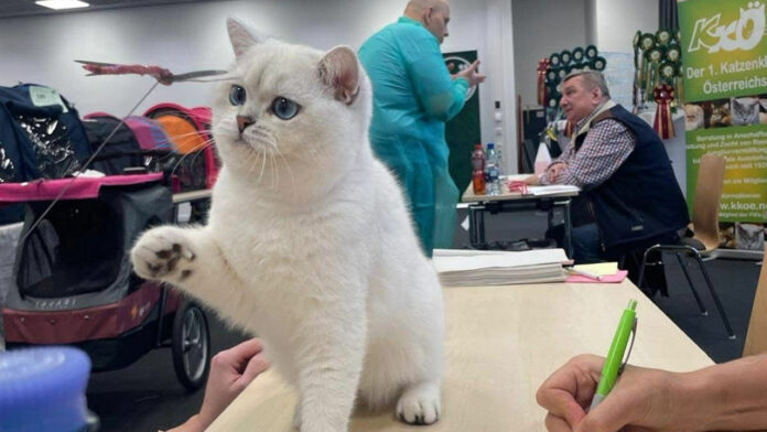 f22bd045e2eba256e8b5ad6f86b7b7a5