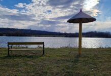 Meteo, 4 martie 2026: zi cu soare și valori termice pozitive