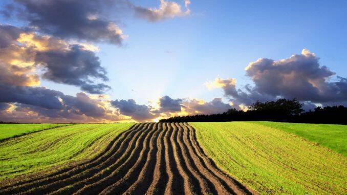 990a848f8f3e33210195d64d3ffc574d_ter