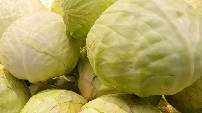 Varza-Murata-cea-mai-buna-reteta-sfat-1024x592