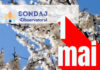 Sondaj: Cum veți sărbători voi 1 Mai?