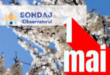 Sondaj: Cum veți sărbători voi 1 Mai?