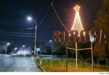 Fotografia zilei: Un fel de „Fericiun Crecit” primăvăratic