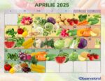 Purple White Pretty Flowers Simple Modern April 2023 Monthly Calendar (7)