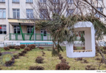 Fotografia zilei: Cu grijă față de păsări