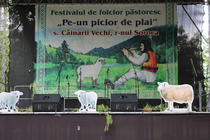 494698117_1211259230787208_8077077707836081050_n