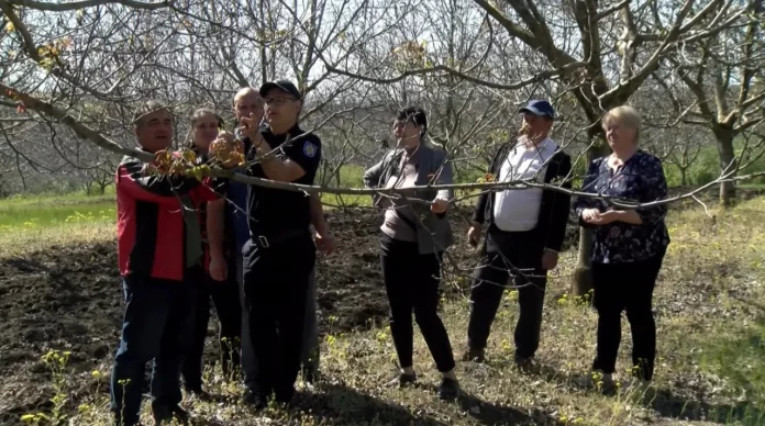 6adda80b635aecf880bde5c4bbc19c3d