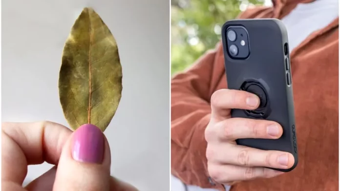 De-ce-tot-mai-multi-oameni-pun-o-frunza-de-dafin-in-carcasa-telefonului.-Trucul-care-a-devenit-viral-1024x683