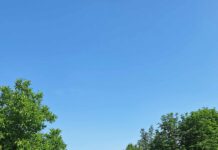 „Un pas realizat spre un sat curat” – la Egoreni au fost distribuite tomberoane pentru gospodării