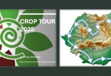 PUBLICITATE / CropTour 2025 – O radiografie detaliată a culturilor agricole din România