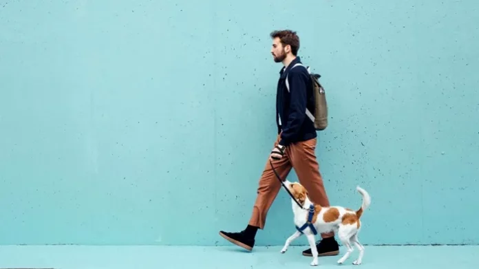 Pauzele-regulate-pentru-mers-pe-jos-sunt-considerate-benefice-atat-pentru-creier-cat-si-pentru-corp