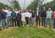 Cerințele de inofensivitate și siguranță la exportul de fructe proaspete în UE discutate cu operatorii din nordul țrepublicii Moldova