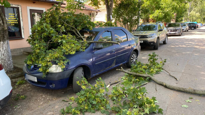 b0b77f76-19b0-447a-a490-144de189d7e5