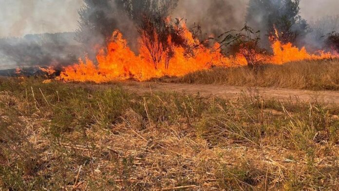 990a848f8f3e33210195d64d3ffc574d_b82135015d7a6aa712574d7df8b0afa0-17210450871l0lcov_686fb895f0f60