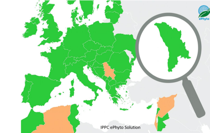 Screenshot 2025-07-23 090657