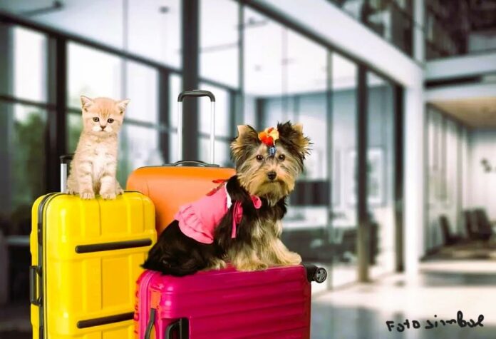 WhatsApp Image 2025-07-18 at 11.01.40_2abb201c1