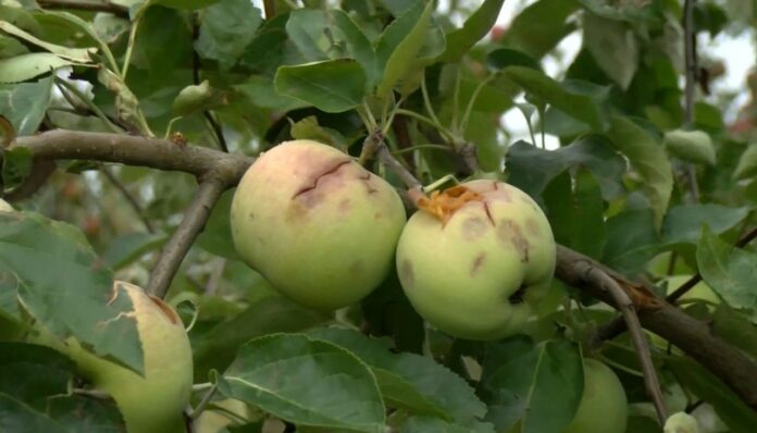 d463696f-8175-46f7-9fe5-6e70a2bbcde2