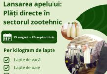 De astăzi, fermierii din sectorul zootehnic pot solicita sprijin financiar