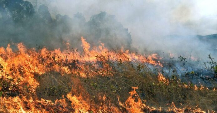 990a848f8f3e33210195d64d3ffc574d_990a848f8f3e33210195d64d3ffc574d-7a41001c82a6abf0b74f43a9d6dcdf135a134de6cb864d7205f61ec60dd1196a-68ac8793e0c67_68d28f655411f