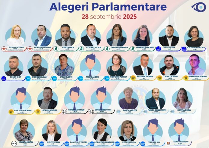 Turquoise Shades Professional Certificate (17)