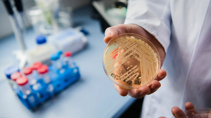 c7a8c0c779e1511f0b24ae4e313244da