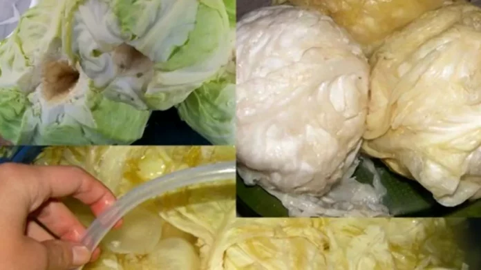 Cum-pritocesti-corect-varza-murata.-Trucul-secret-pe-care-il-stiu-putini-romani-1024x538