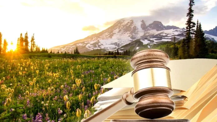 Floarea-care-iti-aduce-dosar-penal-imediat.-Nu-cumva-sa-o-rupi-multi-romani-nu-tin-cont-de-lege-1024x683