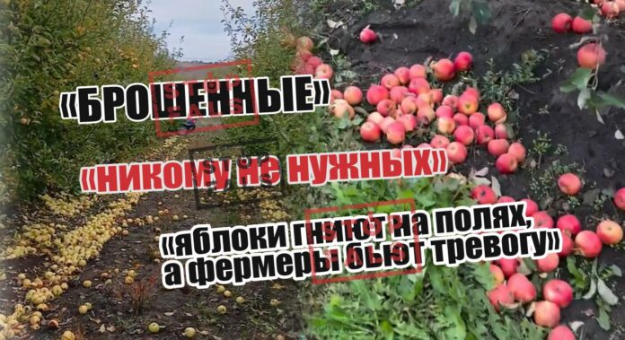 ad2c67e0bd8e624aa7bd7094d734fda60a6268a3