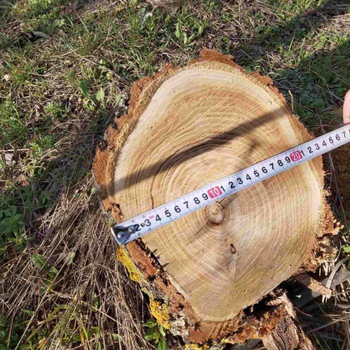 d360fc58f4430538c908c665353062ec40899444