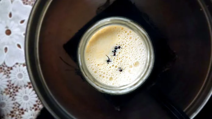 iaurt-fermentat-cu-ajutorul-furnicilor-stiinta-alimentatie-publica