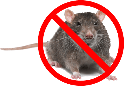 no_mice_sign.png