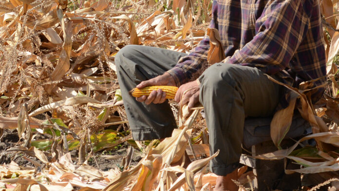 Observatorul de Nord