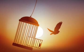 „La capătul răbdării”: Povestea unei femei care a rupt lanțul violenței domestice