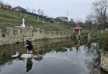 Ultimul suspin al izvoarelor. În Cotova, apele satului se transformă în amintiri…
