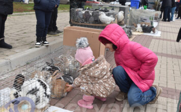 Târgul de păsări și animale a readus forfota în fața Cetății Soroca / GALERIE FOTO